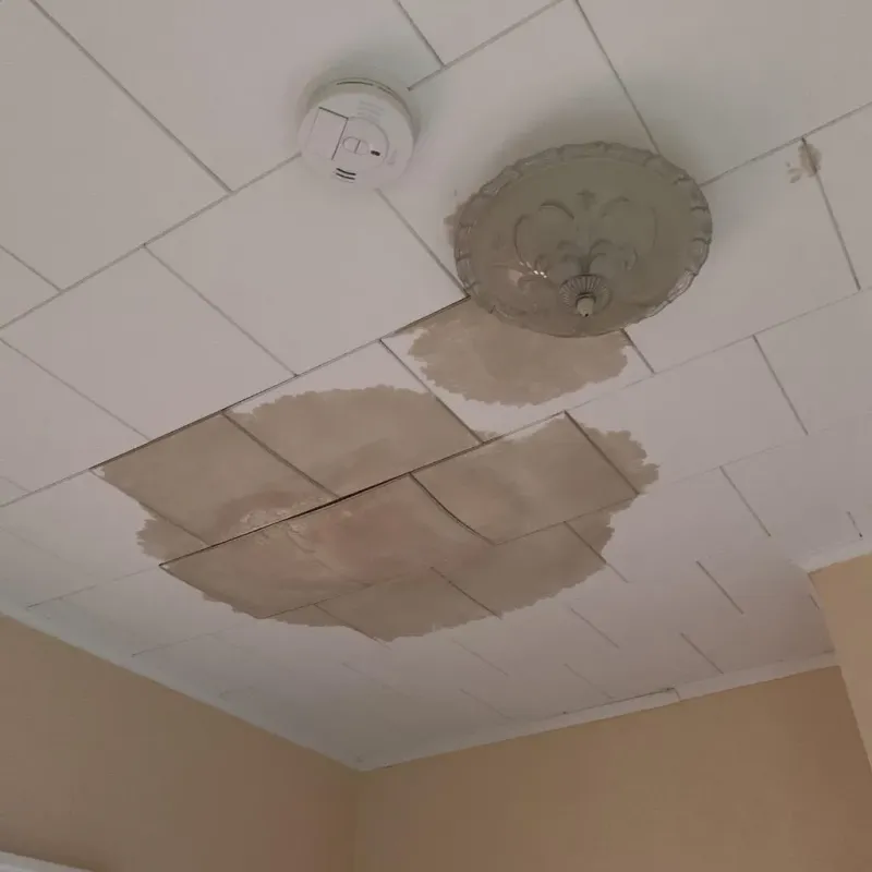 Ceiling Water Damage Repair in South Kensington, MD